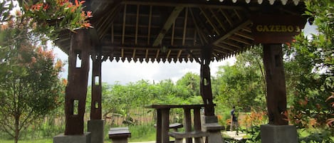 Hiên