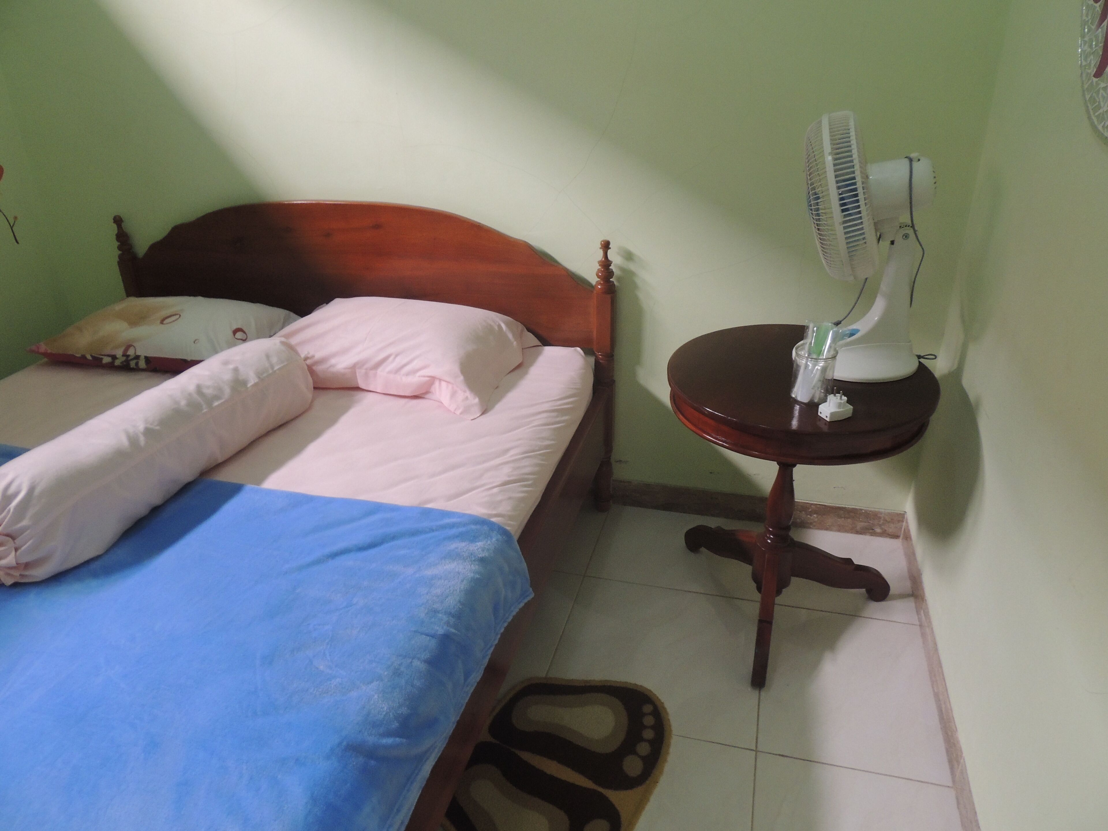 Une chambre à coucher avec un lit, des oreillers, une table de chevet avec un ventilateur et un plancher en bois.