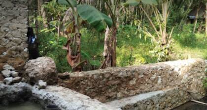 Avicenna 1 Guesthouse