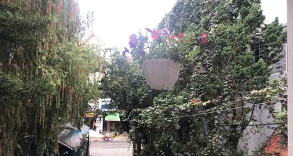 Bich Khue Hotel