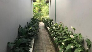 A narrow corridor with tiled flooring, flanked by lush green plants and white walls. - Mai Vuong Thuy Hotel (Ho Chi Minh City)