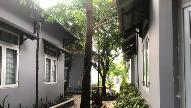 A narrow pathway flanked by buildings with windows and a tree in the center. - Mai Vuong Thuy Hotel (Ho Chi Minh City)