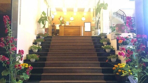 A staircase with potted plants on both sides leading to a reception area with a wooden desk and a sign. - Nguyen Hotel and Homestay (Da Nang)