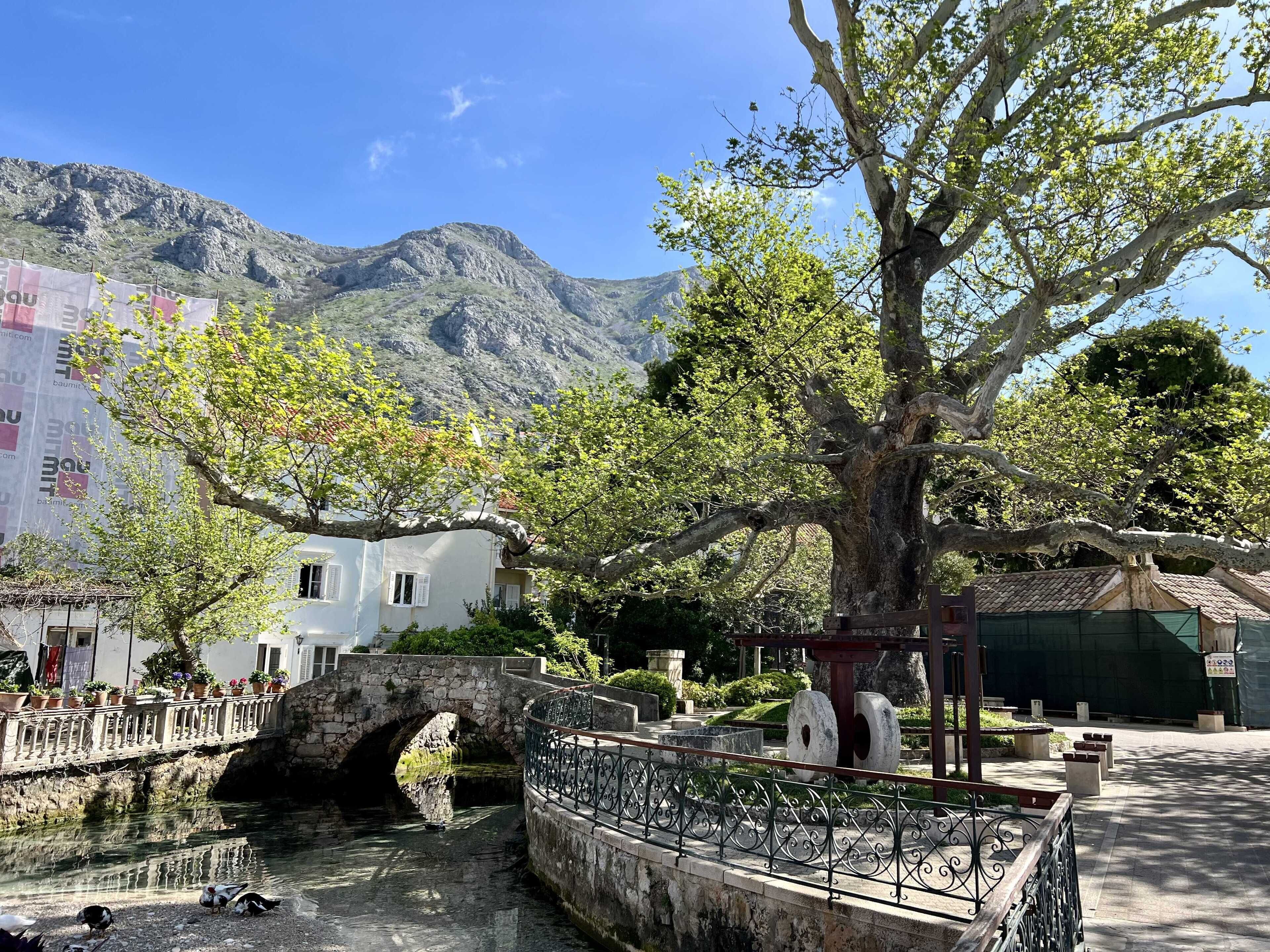 Apartment (Two Bedroom Apartment with Balcony an) | Ansicht von oben