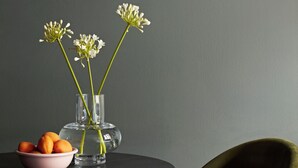 Uklassifisert bilde, 5 av 40, knapp