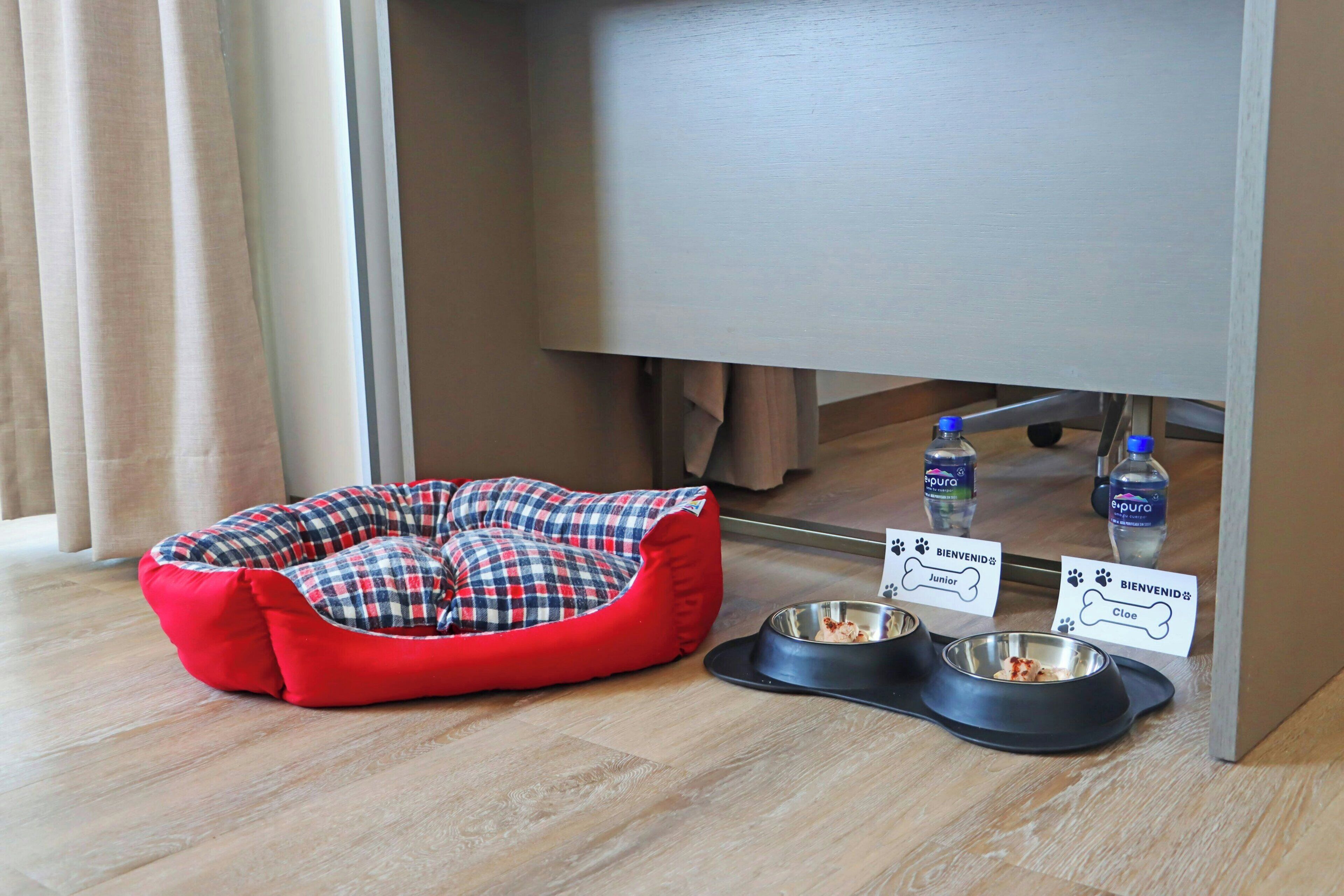 A pet bed, two water bottles, and two pet bowls with labels under a desk.