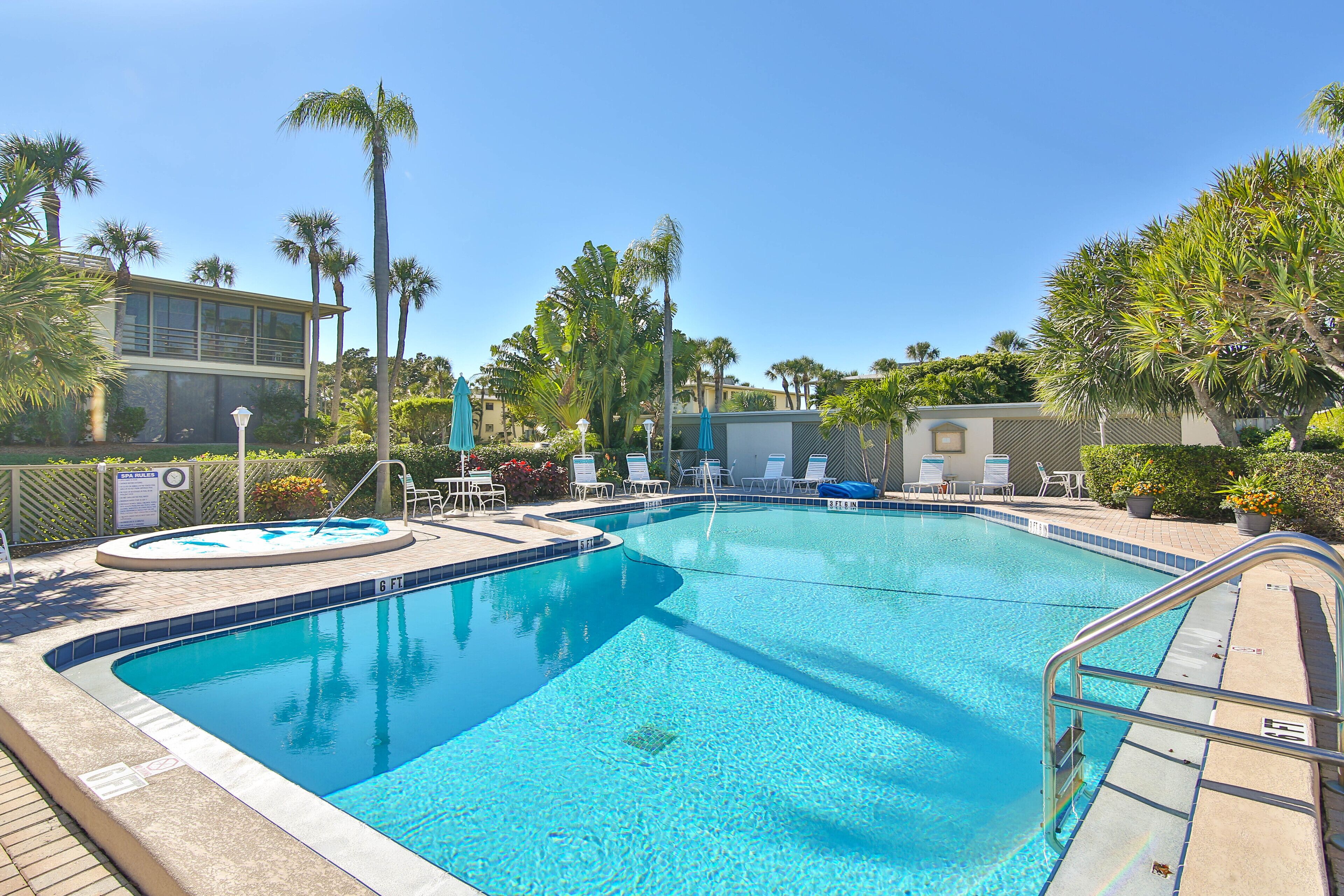A swimming pool with a tiled edge, surrounded by lounge chairs and palm trees.