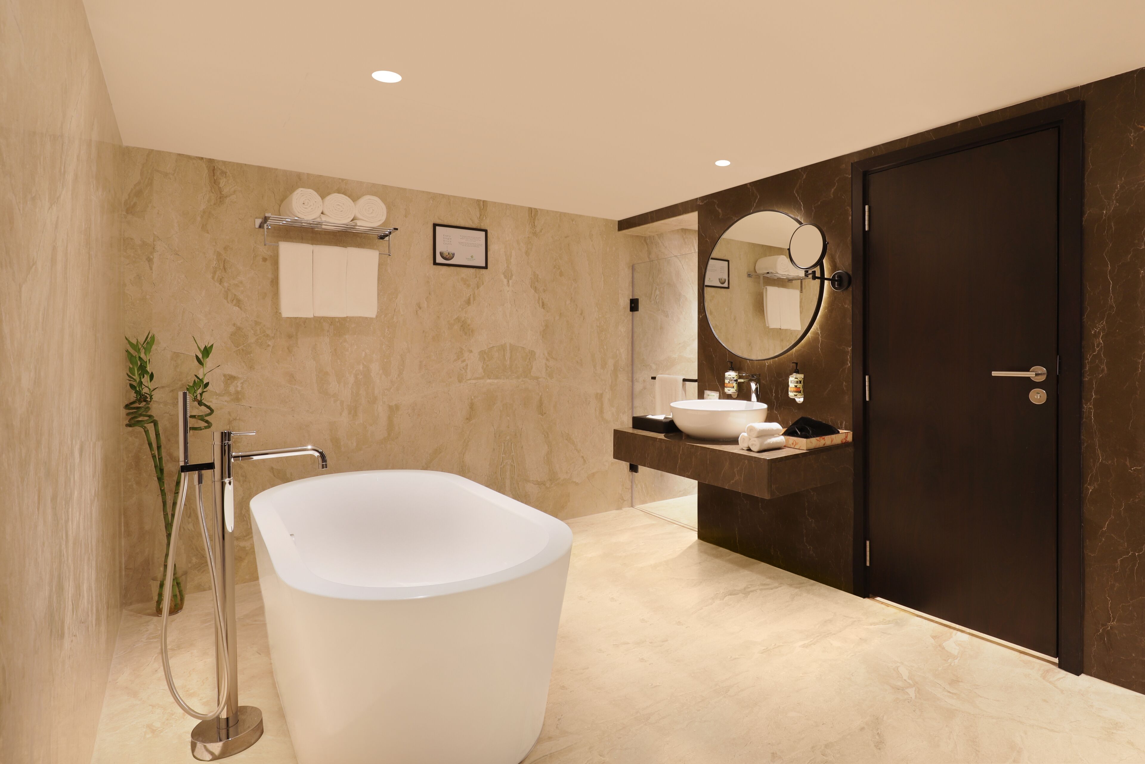 A modern bathroom with a freestanding bathtub, a large mirror, and a dark wooden door.