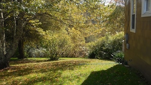 A grassy yard with trees and a building. - BACK TO THE 50'S GUEST HOUSE (Princeton, WV 24739)