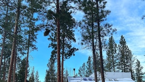 A cabin with a stone exterior, wooden deck, and a snow-covered roof, surrounded by tall pine trees. - Home in the Bitterroots (Victor)
