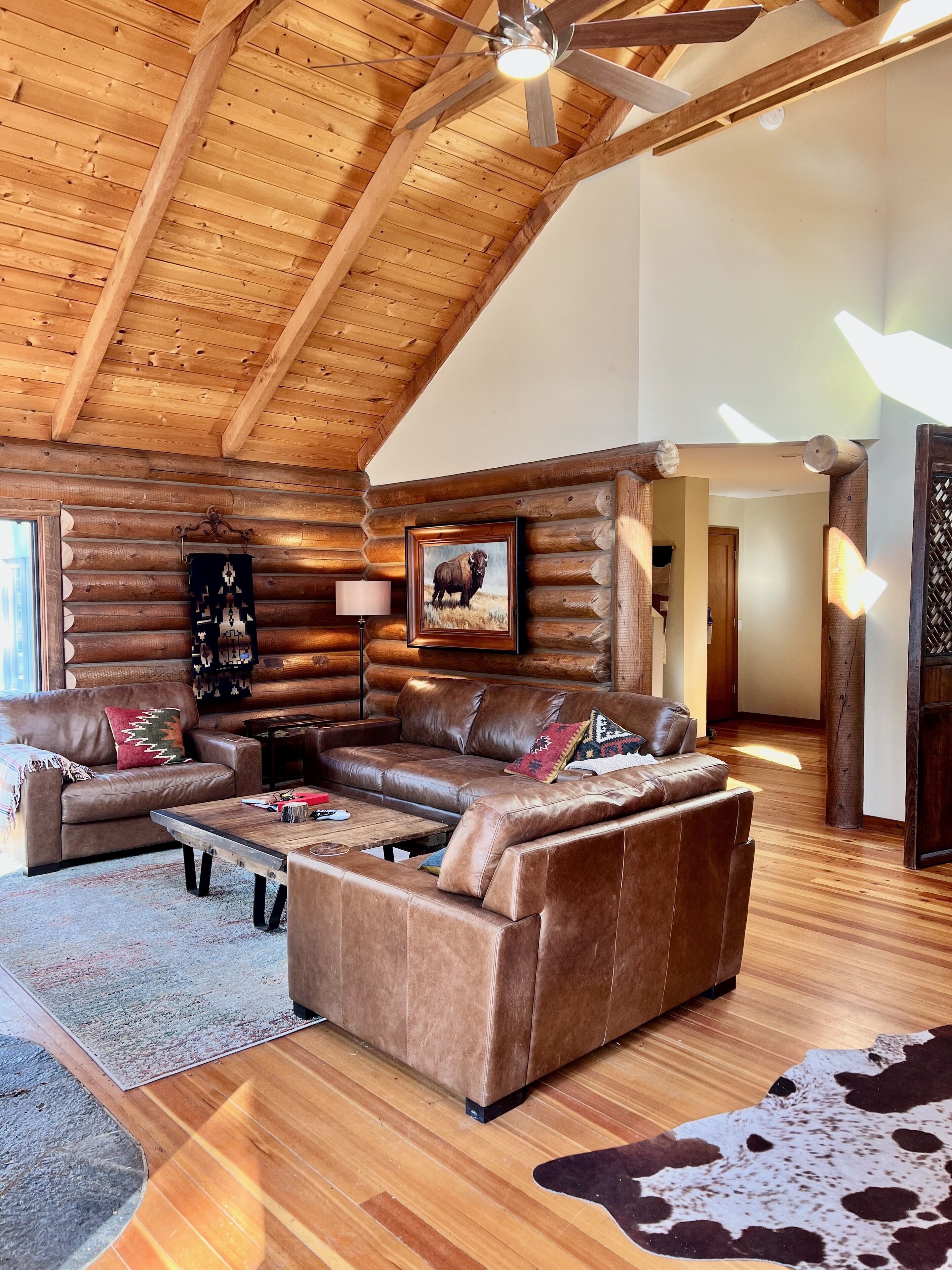 TV connectée, cheminée, jeux vidéo, lecteur de DVD