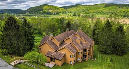 SnowPine Condo, King Bed, Patio + Fireplace