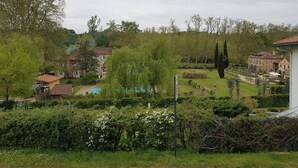 A residential area with houses, a swimming pool, and a large tree.