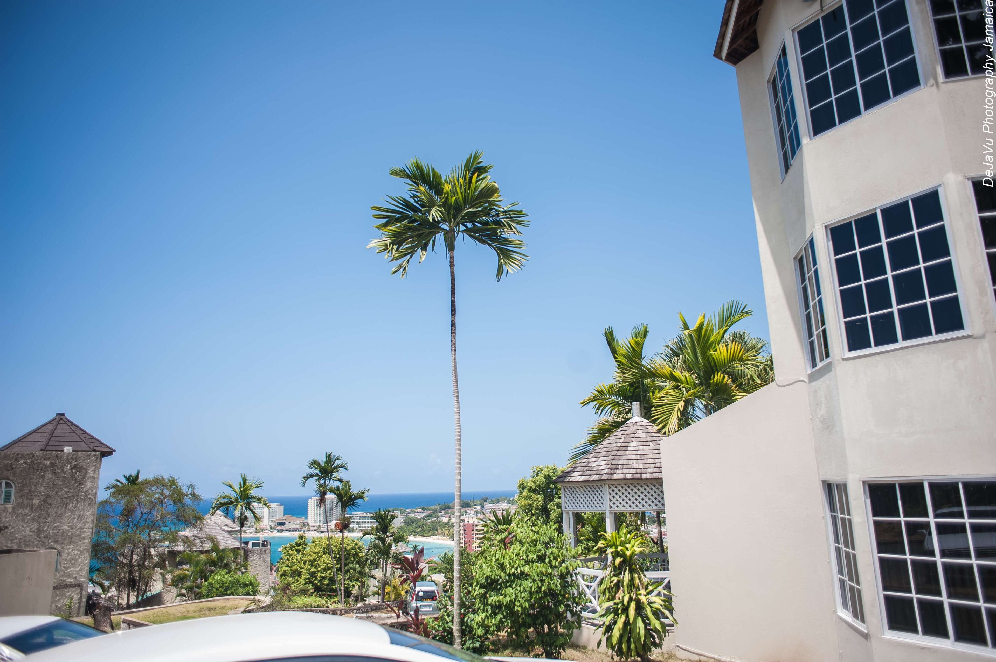 A coastal view with a tall palm tree, a gazebo, and a building with large windows.