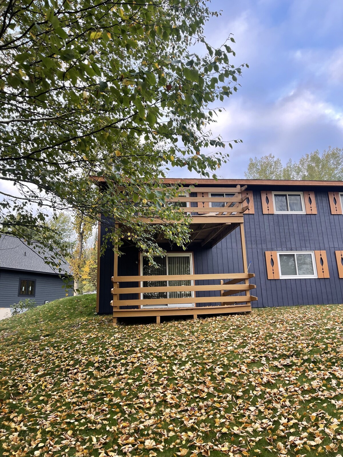 Imagen de perfil del propietario o de la propietaria