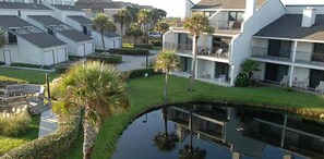 Een woonwijk met moderne huizen, een kleine vijver en palmbomen.