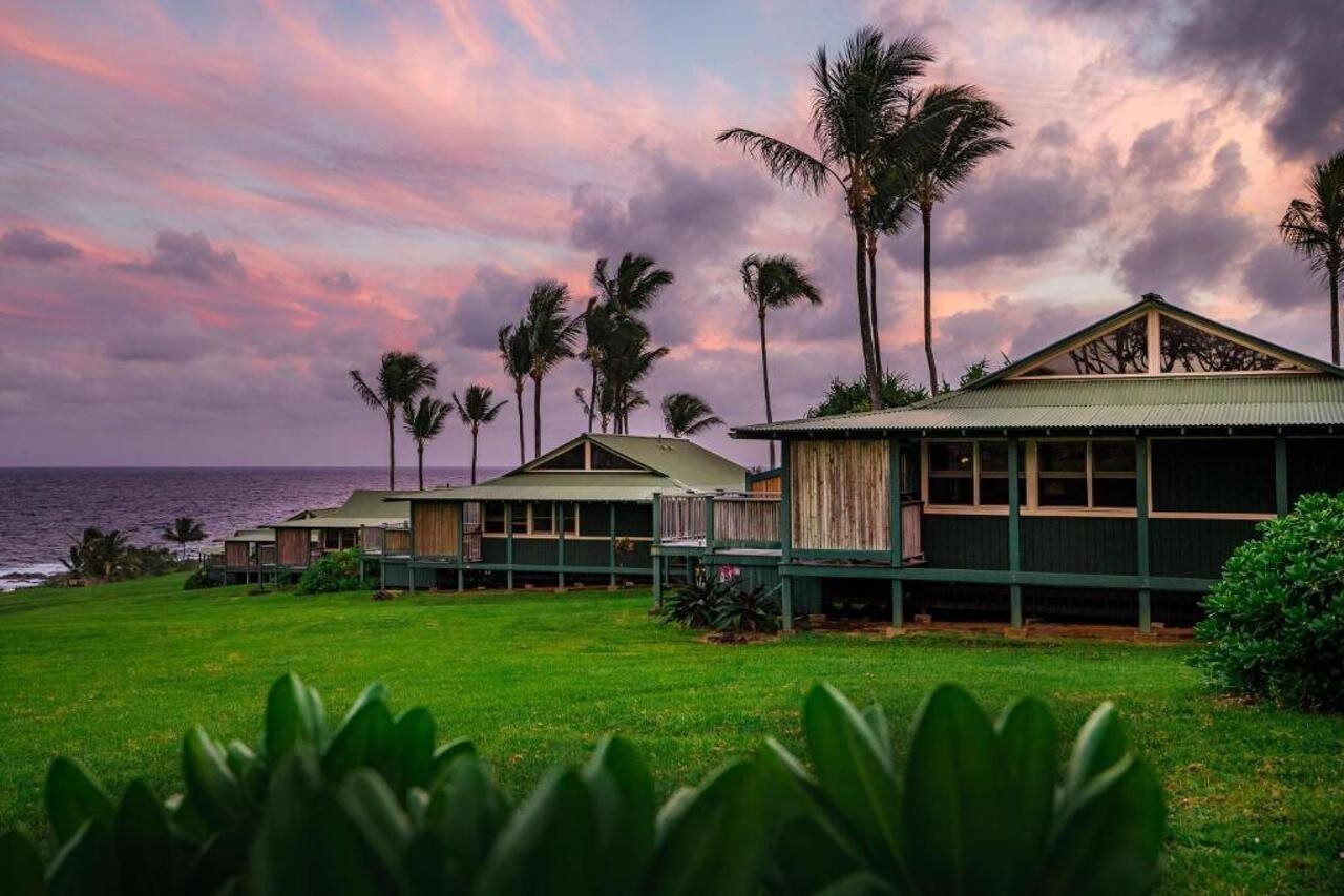 A beachfront property with multiple rooms, a grassy lawn, and palm trees.