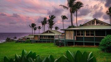 A beachfront property with multiple rooms, a grassy lawn, and palm trees.