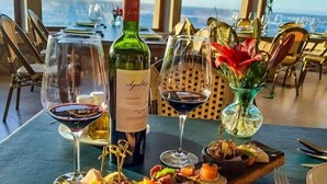 Une table mise pour un repas, avec des verres à vin, une bouteille de vin et une variété d’amuse-gueules.