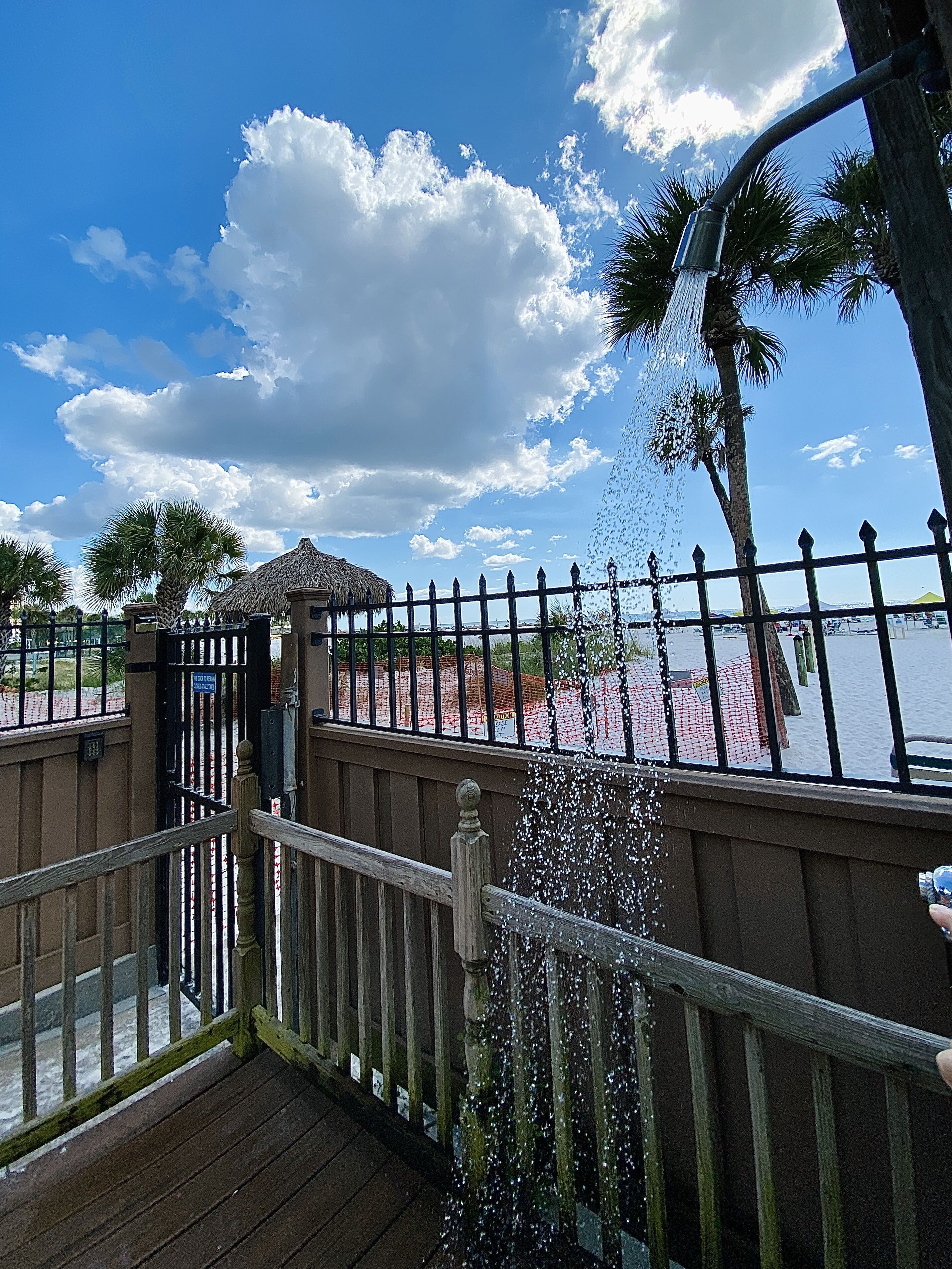 A wooden deck with a railing, a palm tree, and a thatched-roof structure.