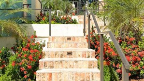 A set of stone steps leading up to a building with a balcony, surrounded by lush greenery and flowering plants. - Allamanda 3 - 1 bedroom suite at Seagrape Vista (Cruz Bay)