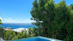 A clear blue pool with a pink float ring, surrounded by lush greenery and a view of the ocean. - Allamanda 3 - 1 bedroom suite at Seagrape Vista (Cruz Bay)