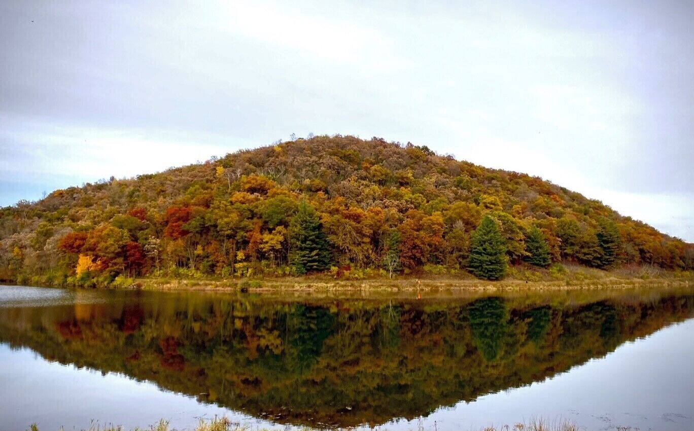 Ein ruhiger See mit einem bewaldeten Hügel im Hintergrund.