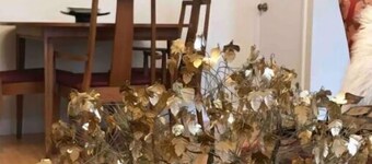 A Boho Chic Choice with Great Parking