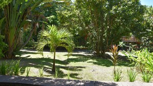 A wooden deck in a garden with various tropical plants and trees. - CHALET "Danse du Tambour" 2 people - (Pointe-Noire)