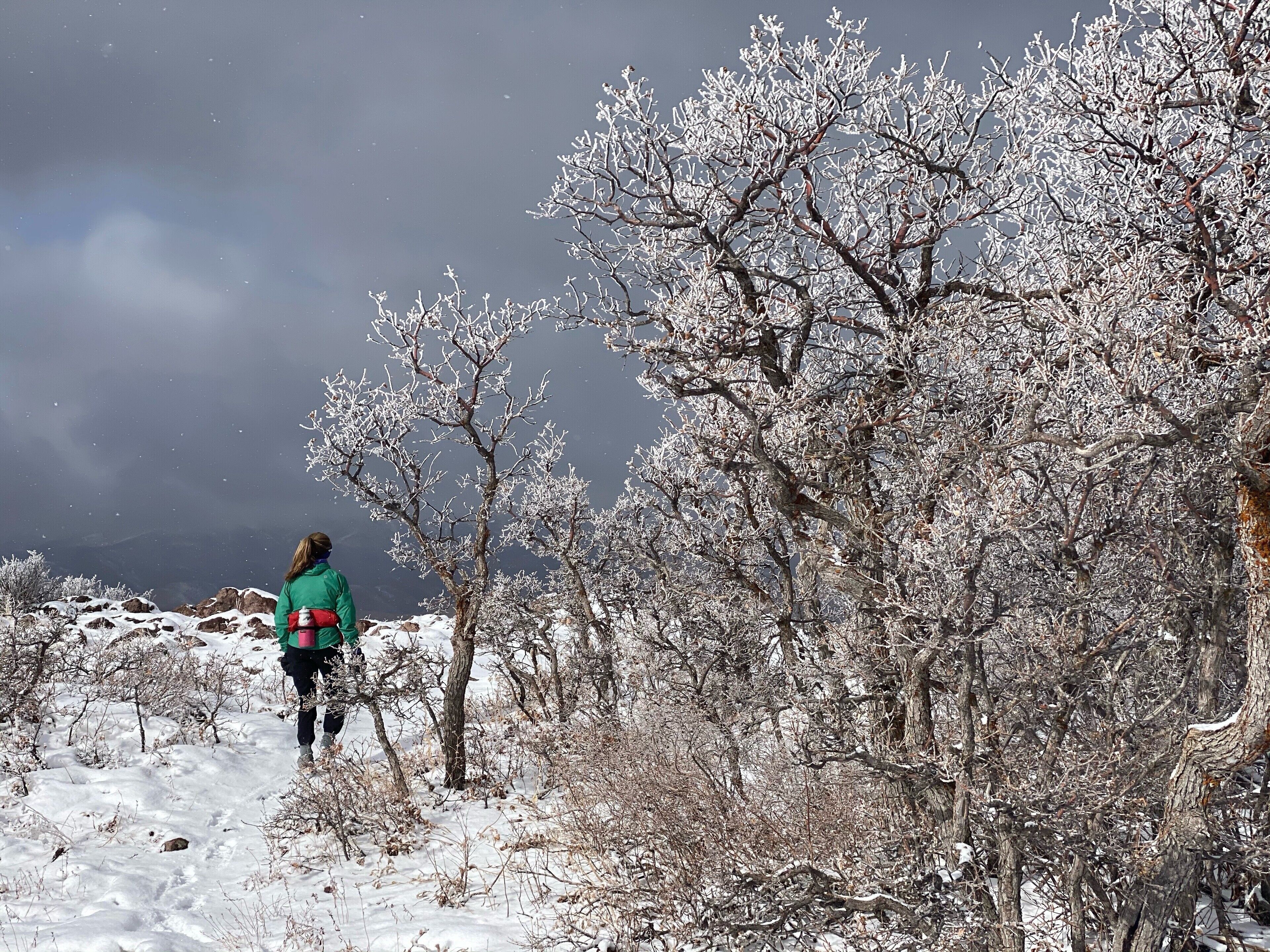A person hiking in a snowy landscape with bare trees and a cloudy sky.