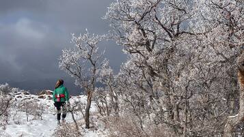 A person hiking in a snowy landscape with bare trees and a cloudy sky.