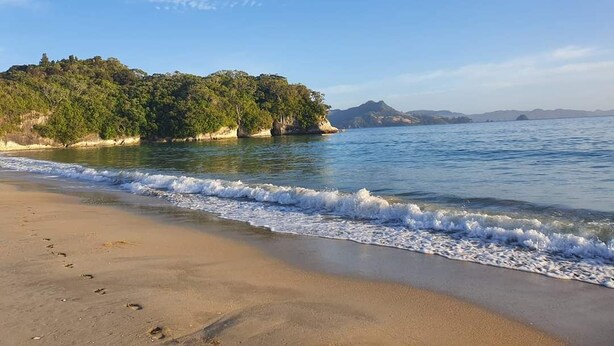 Ein Strand mit klarem Wasser, einem sandigen Ufer und einer bewaldeten Insel im Hintergrund.
