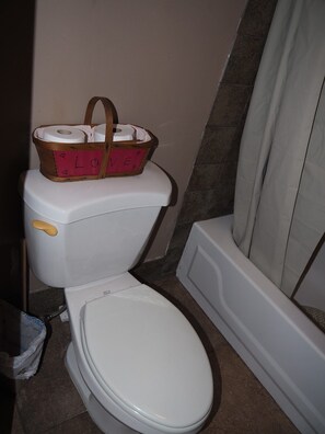 Eine Toilette mit einem Papierkorb voller Toilettenpapier.