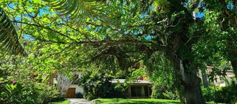pé na Areia - Paraíso na Praia da Enseada em Ubatuba