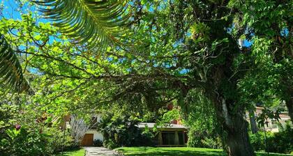 pé na Areia - Paraíso na Praia da Enseada em Ubatuba