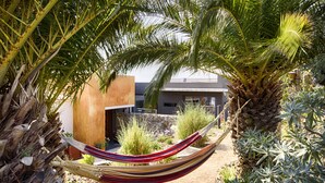 A hammock between palm trees in a garden area with a modern building in the background.