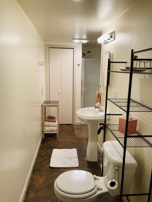 Douche, sèche-cheveux, serviettes fournies, papier toilette