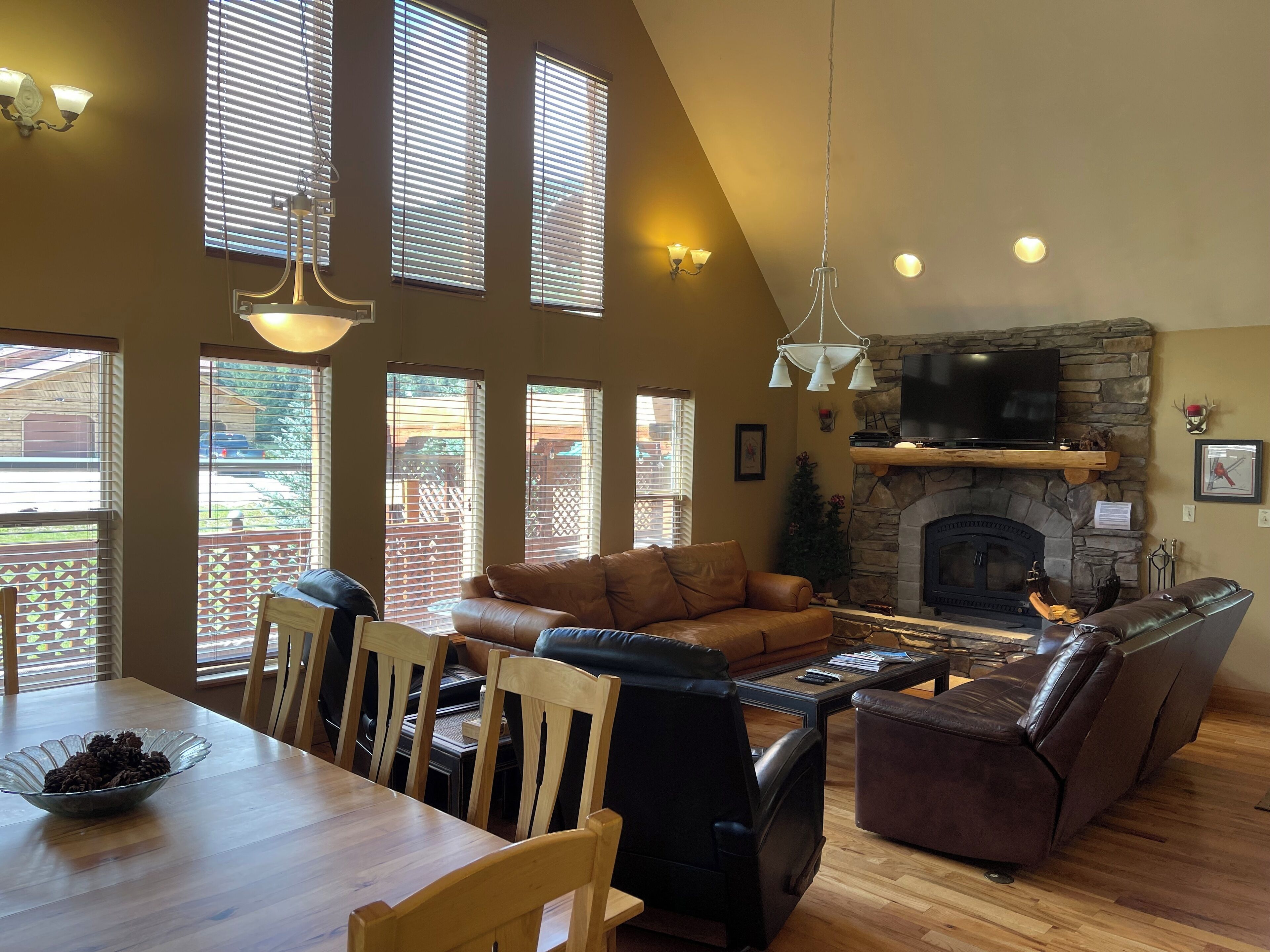 Televisión, chimenea y reproductor de DVD 