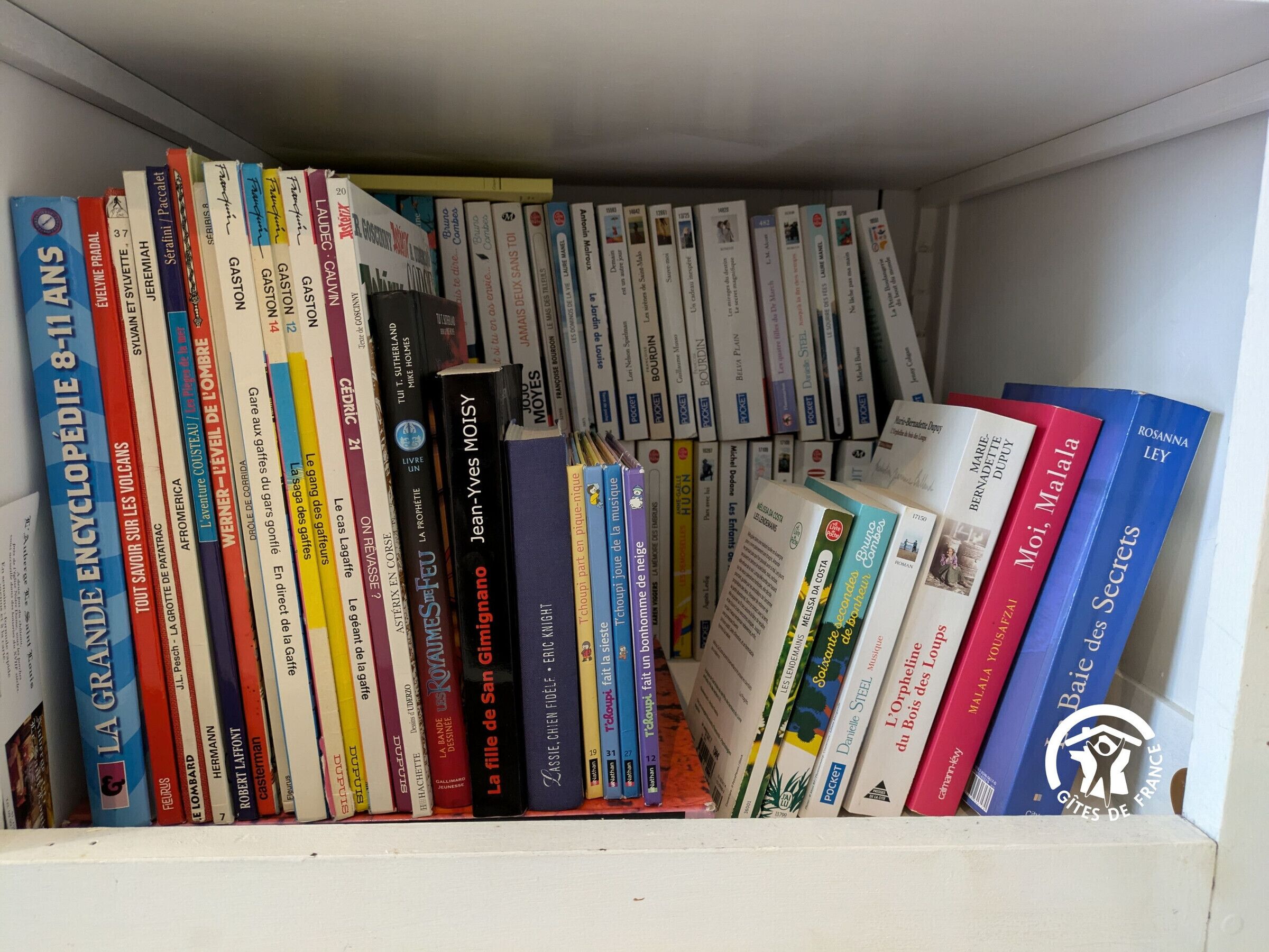 A bookshelf filled with books of various sizes and colors.