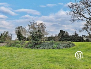 Property grounds - Spacious Gîte with Game Room, Music Instruments, and Large Garden in Anjou-Congrier (Congrier)