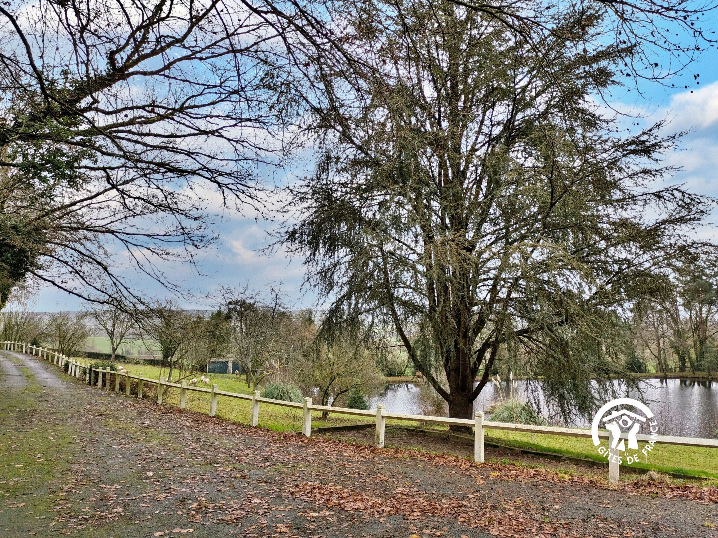 A park with a wooden fence, a large tree, and a body of water.