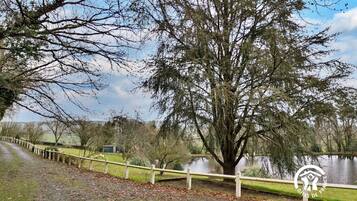 A park with a wooden fence, a large tree, and a body of water.
