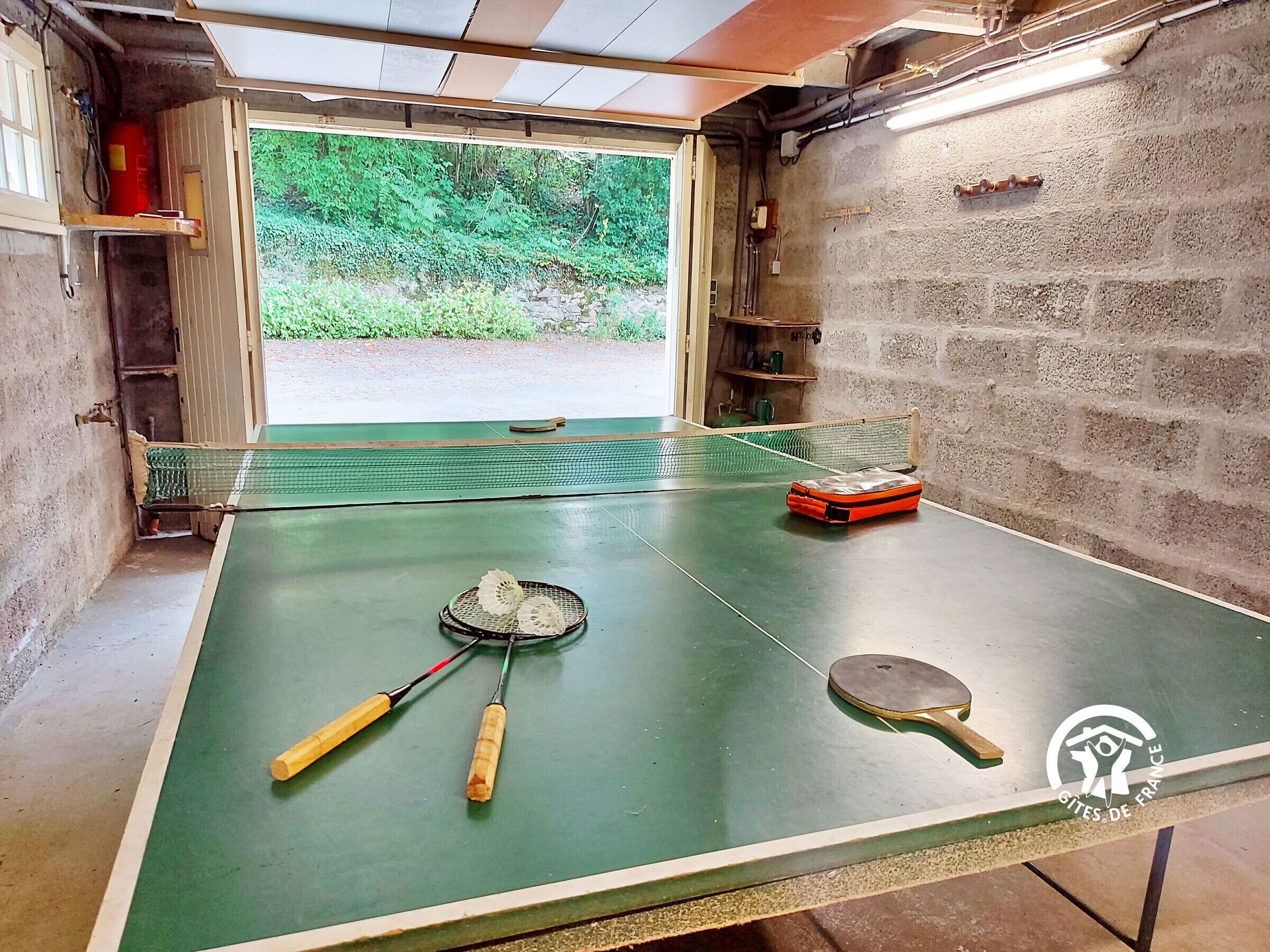 Una mesa de ping pong con red, paleta y pelota en una habitación con pared de concreto y ventana con vista a follaje.