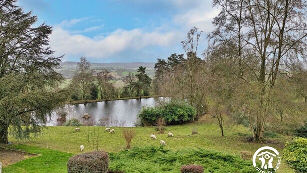 Un paisaje sereno con un lago, ovejas pastando y un logotipo en la esquina.