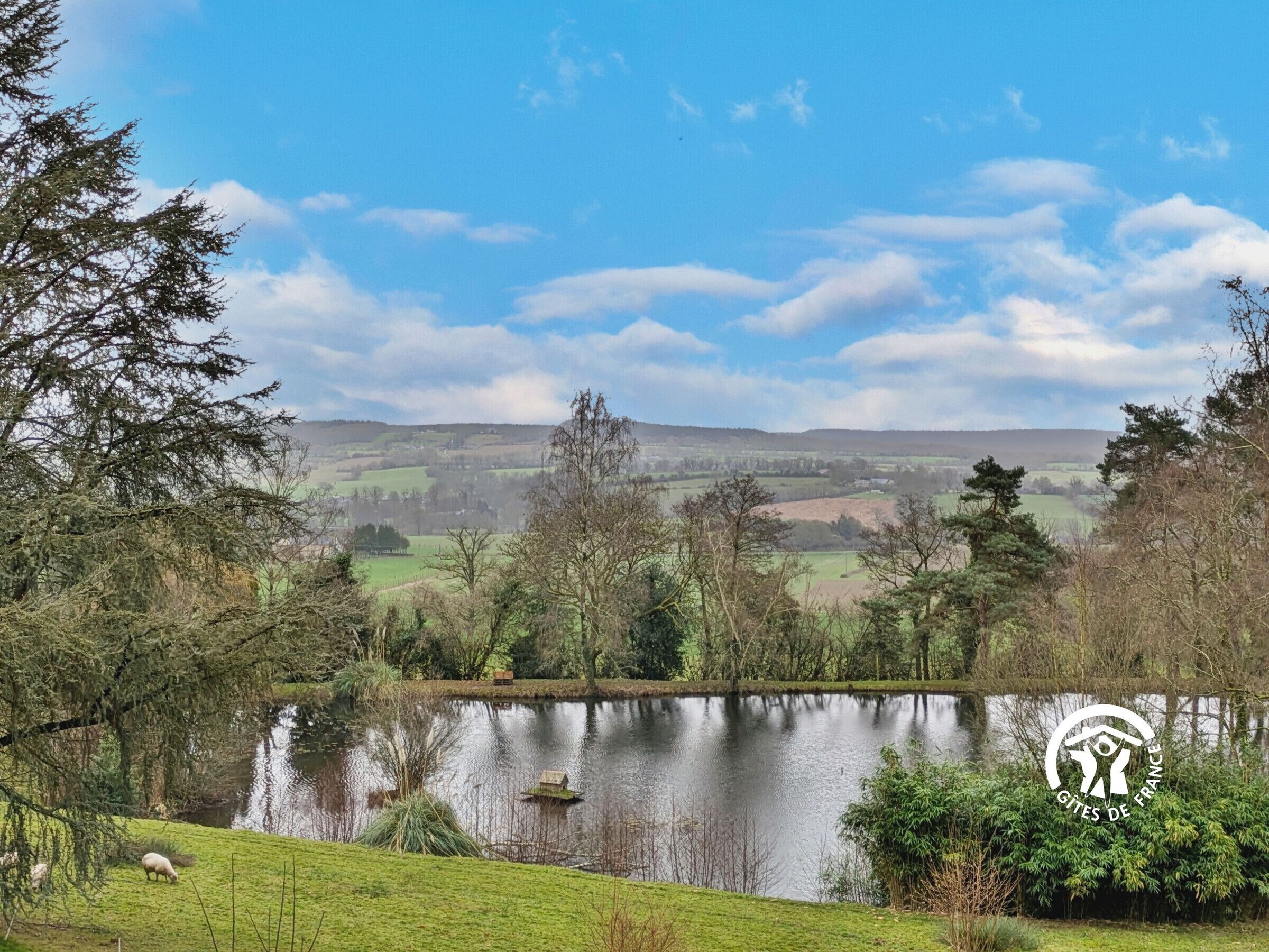 A serene lakeside view with a pond, grassy areas, and trees.