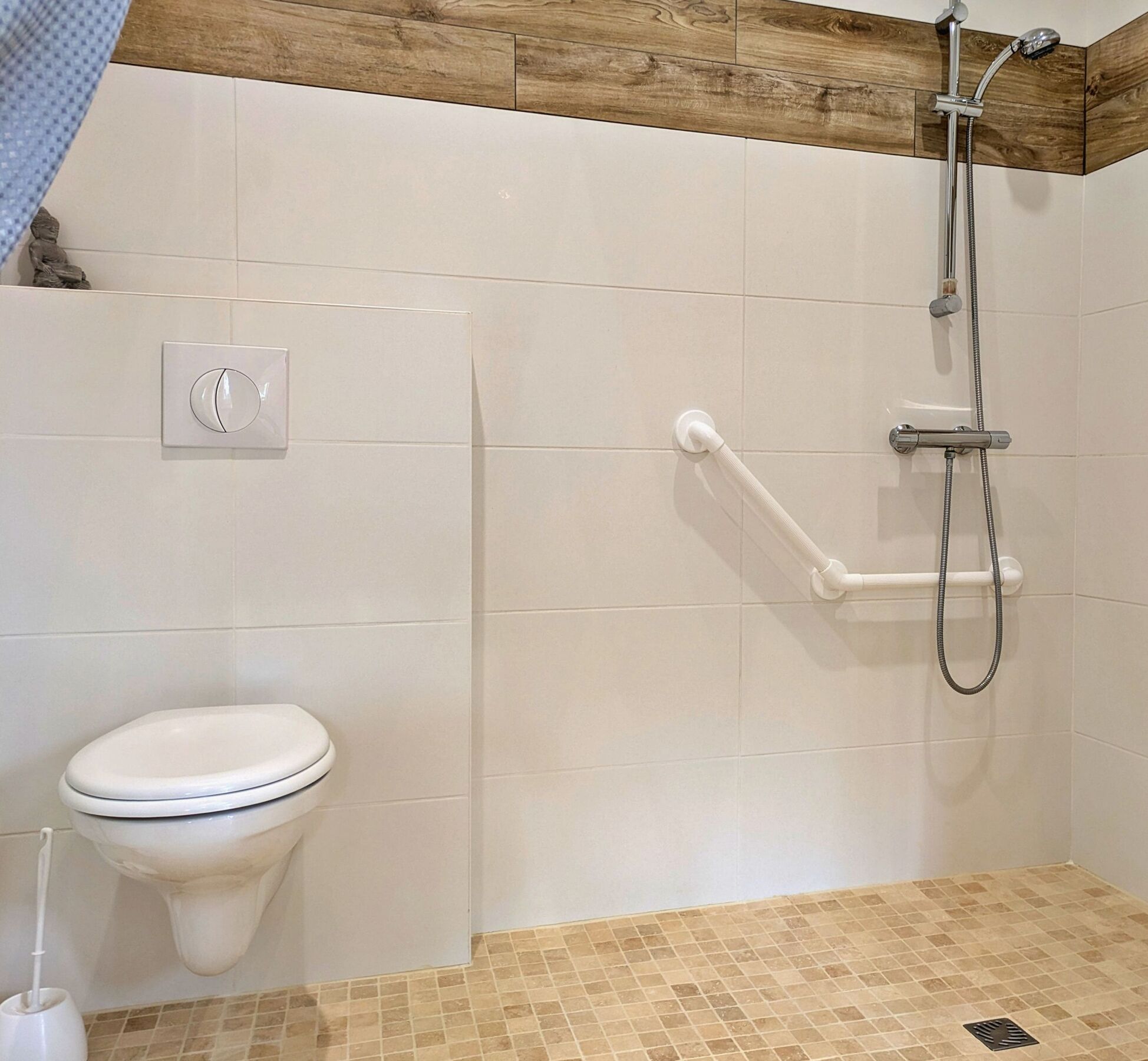 A bathroom with a toilet, a shower with a handheld showerhead, and a grab bar.