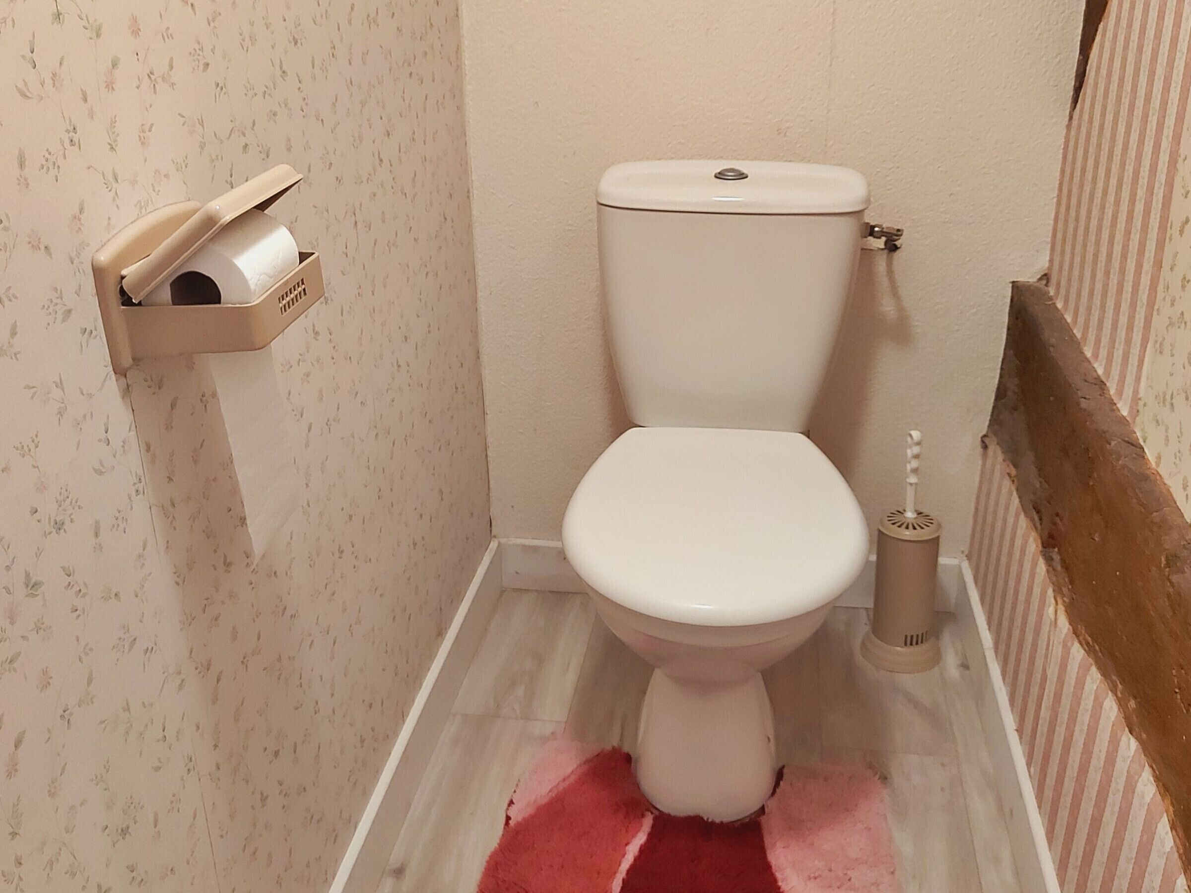 A small bathroom with a toilet, a toilet brush, and a toilet paper holder.