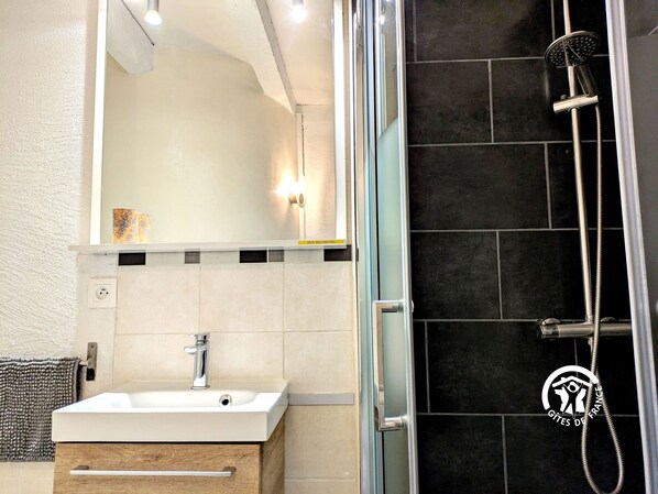 A modern bathroom with a glass shower enclosure, a white sink, and a mirror above it.