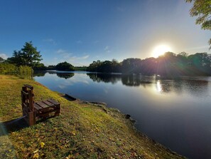 Miscellaneous - Cozy Stone Cottage with Private 8ha Fishing Pond and Scenic Surroundings - Ideal for Nature Lovers (Alexain)