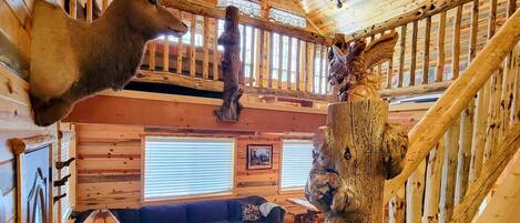 Smart-TV, peis, DVD-spiller og filmbibliotek